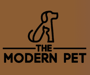 Modern Pet